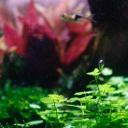 Aquatic Collective Discord Server Banner