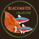 Blackwater Collective Discord Server Banner