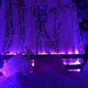 Moody Paradise Discord Server Banner