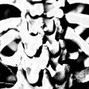 ༒♱𓆩inner༒devils𓆪♱༒ Discord Server Banner