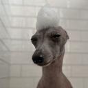 Havenage - Weekly Nitro Giveaway Discord Server Banner