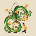 Sanctuaire de Shenron Discord Server Banner
