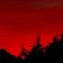 Eternal Purgatory ˎˊ-FORSAKEN RP Discord Server Banner