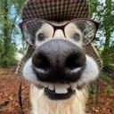 Haterz Playground Discord Server Banner