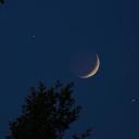 arab lounge Discord Server Banner