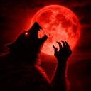 Werwolf | Das letzte Dorf Discord Server Banner