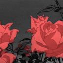 Black Rose Discord Server Banner