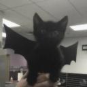 Bat’s Closet Discord Server Banner