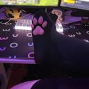 Matching Maker🎀 Discord Server Banner