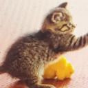 AMINA’s server Discord Server Banner