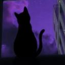 BlazedCat - Midnight Café (18+) Discord Server Banner