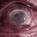 [ Apocalipse Aberrante ] Discord Server Banner