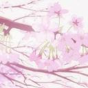 VibeNest Discord Server Banner