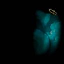 Silverse Discord Server Banner