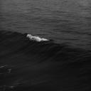 Thecozycorner Discord Server Banner