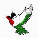 Palestine - فلسطين Discord Server Banner