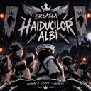 Breasla Haiducilor Albi Discord Server Banner