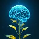 Synapse Discord Server Banner