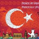 PİXELYAFUNTURKİSHHH Discord Server Banner