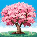 Sakura Discord Server Banner