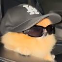 fun chaos Discord Server Banner
