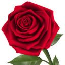 Mystics Quarters Discord Server Banner