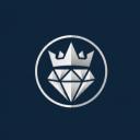 The platinum council Discord Server Banner