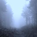 mist Discord Server Banner