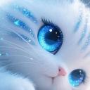 Friend of friends Discord Server Banner