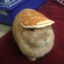 PANCAKE PUB!! 🥞 Discord Server Banner