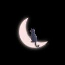 Nocturne zone Discord Server Banner