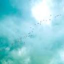 42 idiots and a server Discord Server Banner