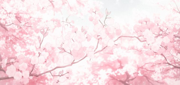 Invite Contest Giveaway🌼