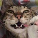 ⋆ ˚｡⋆୨୧˚ Soleil Café ˚୨୧⋆｡˚ ⋆ Discord Server Banner