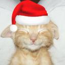 Lumina Nexûs Discord Server Banner