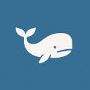 WhaleCoderZ Discord Server Banner