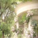 Harmony Discord Server Banner