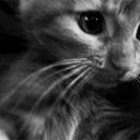 Static Sanctuary Discord Server Banner