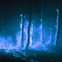 Storms of Ice and Fire - WOF RP Discord Server Banner