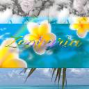 Zephyria Discord Server Banner