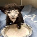 MISSILE LAUNCHER!! :3 Discord Server Banner