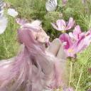 fairies Discord Server Banner