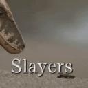 𝕊𝕝𝕒𝕪𝕖𝕣𝕤 ℙ𝕧ℙ Discord Server Banner