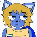 LapisCrowLime Discord Server Banner