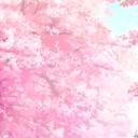 Cheryl's attic! Discord Server Banner