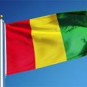 GuineaPPF Discord Server Banner