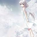 insert text here Discord Server Banner