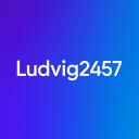 Ludvig2457 Discord Server Banner