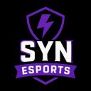 SYN Esports Discord Server Banner