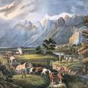 HomeFront Discord Server Banner